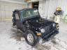 JEEP - WRANGLER
