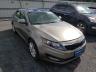 KIA - OPTIMA