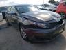 KIA - OPTIMA