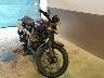 TRIUMPH - SCRAMBLER