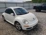 VOLKSWAGEN - BEETLE