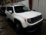 JEEP - RENEGADE