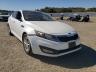 KIA - OPTIMA