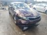 KIA - OPTIMA