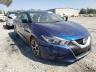 NISSAN - MAXIMA