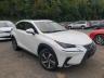 LEXUS - NX