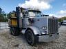 PETERBILT - 349