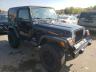 JEEP - WRANGLER
