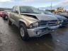 DODGE - DAKOTA