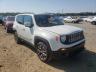 JEEP - RENEGADE