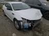 KIA - OPTIMA