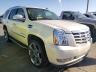 CADILLAC - ESCALADE