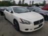 NISSAN - MAXIMA