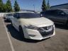 NISSAN - MAXIMA