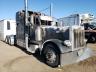 PETERBILT - 379