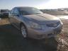 NISSAN - MAXIMA