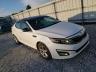 KIA - OPTIMA