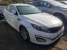 KIA - OPTIMA