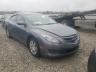 MAZDA - 6