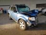 FORD - ESCAPE