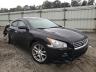 NISSAN - MAXIMA