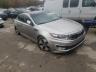 KIA - OPTIMA