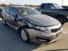 KIA - OPTIMA