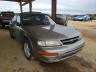 NISSAN - MAXIMA