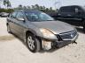 NISSAN - ALTIMA