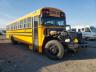 usados BLUEBIRD SCHOOL BUS