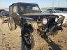 JEEP - WRANGLER