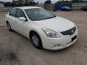 NISSAN - ALTIMA