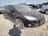 FORD - FOCUS