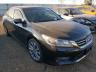 HONDA - ACCORD