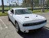 DODGE - CHALLENGER