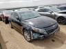 KIA - OPTIMA