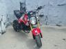 HONDA - GROM
