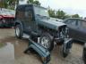 JEEP - WRANGLER