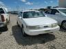 FORD - TAURUS