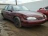 CHEVROLET - LUMINA