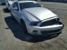 FORD - MUSTANG