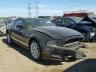 FORD - MUSTANG