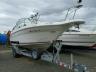 SEARAY - BOAT