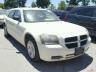 DODGE - MAGNUM