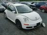 VOLKSWAGEN - BEETLE