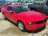 FORD - MUSTANG