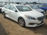 HYUNDAI - SONATA