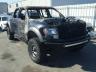 FORD - F150 SVT