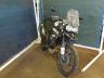 TRIUMPH - TIGER
