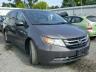 HONDA - ODYSSEY